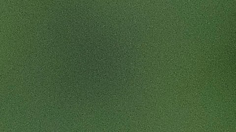 Imago-828927