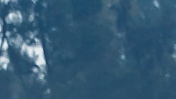 Ciudad de México, 27 de octubre de 2019. , durante el Gran Premio de México 2019 de la Fórmula 1, celebrado en el Autódromo Hermanos Rodríguez. Foto: Imago7//Angel Ferretiz