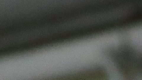 Ciudad de México, 28 de noviembre de 2019. , durante el juego de ida de los Cuartos de Final del torneo Apertura 2019 de la Liga BBVA MX, entre las Águilas del América y los Tigres de la UANL, celebrado en el estadio Azteca Foto: Imago7/ Eloisa Sánchez