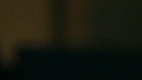 El Burro Van Rankin es uno de los aficionados más célebres del América.