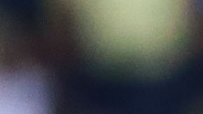 Fue campeón con Chivas en el Clausura 2017.