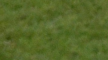 Nico Benedetti, Federico Viñas y Sebastián Cáceres se quedan sin juegos olímpicos.