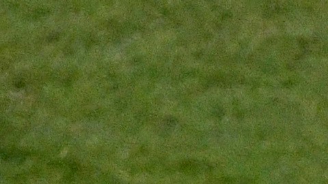 Nico Benedetti, Federico Viñas y Sebastián Cáceres se quedan sin juegos olímpicos.