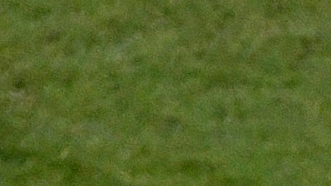 Nico Benedetti, Federico Viñas y Sebastián Cáceres se quedan sin juegos olímpicos.