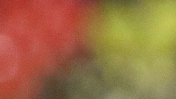 Miguel Herrera cumplió 600 partidos dirigiendo en la Liga MX.