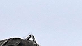 América perdió ante FC Juárez.