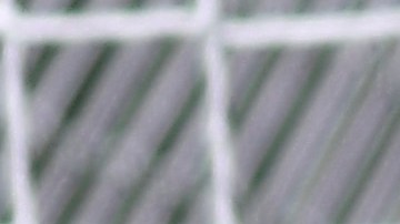 El América Femenil es líder del torneo.