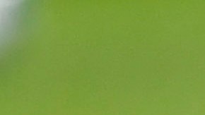 Antuna fue muy criticado por sus fallas.