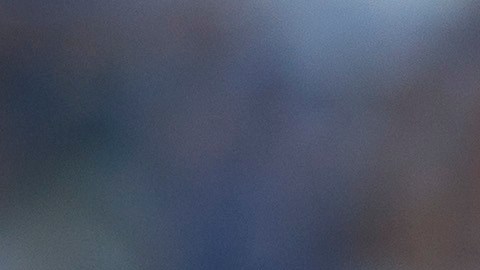 Miguel Herrera tiene muchas opciones para su esquema táctico.