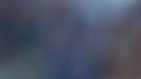 Miguel Herrera tiene muchas opciones para su esquema táctico.