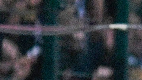 Toluca, Estado de México, 15 de febrero de 2020. , durante el juego de la jornada 6 del torneo Clausura 2020 de la Liga BBVA MX, entre Diablos Rojos del Toluca y Pumas de la UNAM, celebrado en el estadio Nemesio Diez. Foto: Imago7/Rafael Vadillo