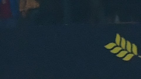 toluca