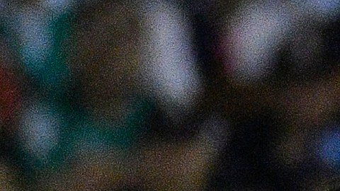 carlos vela