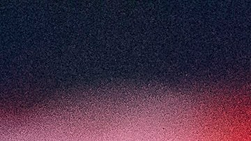 Tena ha sido criticado por su sistema.