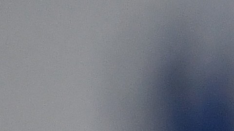 Miguel Herrera sigue rompiendo récords con el América.