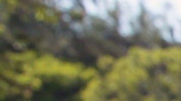 Sheriff de Los Angeles (LASD)