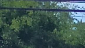 La Medida FD estará en la boleta electoral el 3 de marzo.