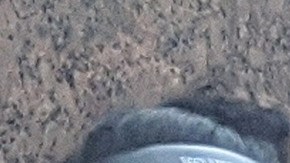 Jóvenes afectados por la deuda carcelaria piden que se remuevan los altos cobros tras ser liberados o quienes están en libertad condicional. (Jacqueline García)