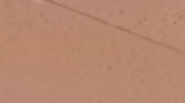 La cónsul de México en Los Ángeles, Marcela Solorio ofreció una conferencia de prensa. (Araceli Martínez/La Opinión).