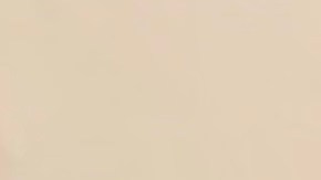 La abogada Patricia Corrales y Tesla Cancino  liden la liberación de Juan Cancino, bajo custodia en la prisión para inmigrantes de Adelanto (Araceli Martínez/La Opinión).