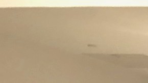 Jessi Losada (izq.) y Rolando Cantú serán parte de la transmisión.