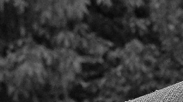 Hay signos más infieles que otros.