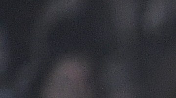 javier hernandez partido hockey