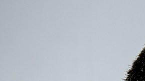 José Ron y Donald Trump.