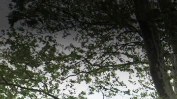 Keltch Park, El Bronx