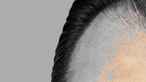 Luis Videgaray y Emilio Lozoya.