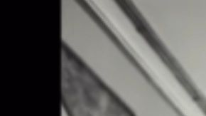 Documental "Who Killed Malcolm X?"