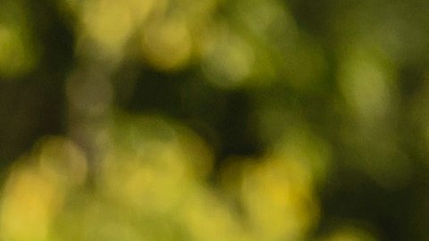 Las relaciones van transformándose según la época en la que vivimos.