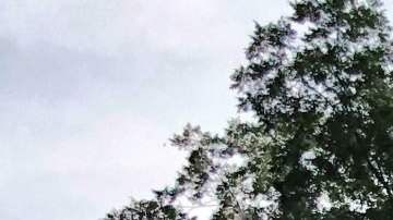 Si algo hace bella a una casa, aunque no sea una mansión, son sus incomparables columnas.