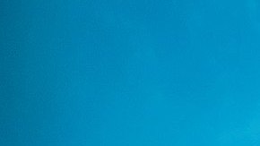 La manta raya oceánica gigante no es rosada.