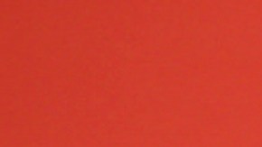 María Celeste Arrarás