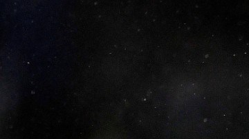 EL PSG ya contará Neymar.