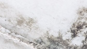 No te resignes: quita las perjudiciales manchas de moho de tu hogar.