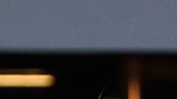 El mexicano presentó molestias musculares.