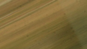 La expiloto fue puesta en libertad el viernes.