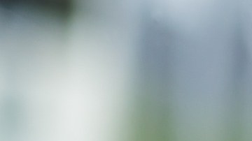 La mujer escondió el teléfono debajo de un asiento.