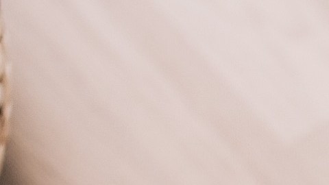 Las niñeras siempre son excleentes opciones para tener un momento privado en pareja.