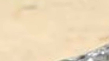 Noemí González tiene 54 años y, hasta el momento de su desaparición, vivía en North Miami.