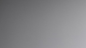 Gran parte de nuestro dinero se va en el pago de alquiler.