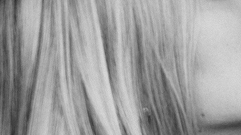 Pareja-beso- StockSnap en Pixabay