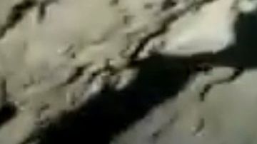 El túnel conectaba los estados de Sonora y Arizona.