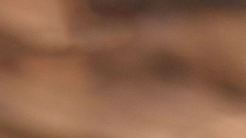 A partir de julio, sube el salario mínimo en la ciudad de Los Ángeles, /Shutterstock