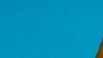 Se supone que la empresa deja a los empleados comerse la comida que está a punto de caducar.