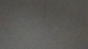 La educación del perro y su familia es fundamental para evitar accidentes.