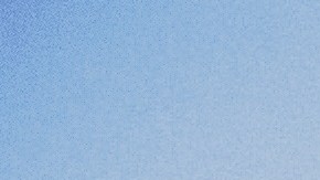 Los perros deben recibir educación para que aprendan qué no deben morder.