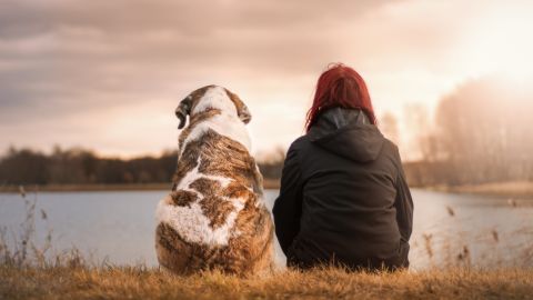 La salud cardiaca de una persona mejora con un perro como mascota.